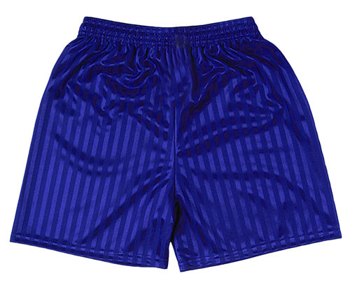 PE Shorts (Royal/Shadow stripe)
